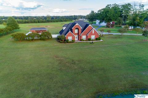 3200 County Road 217, Trinity, AL 35673 photo 2