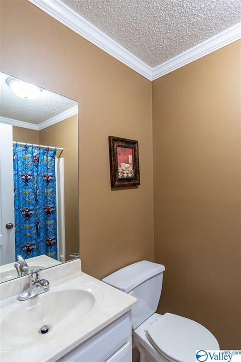 3200 County Road 217, Trinity, AL 35673 photo 45