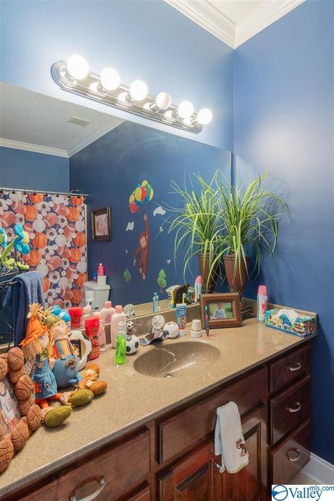 3200 County Road 217, Trinity, AL 35673 photo 24