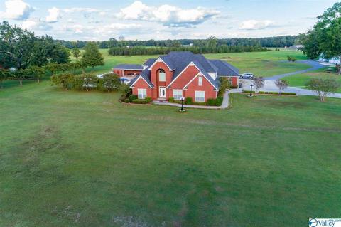 3200 County Road 217, Trinity, AL 35673 photo 1