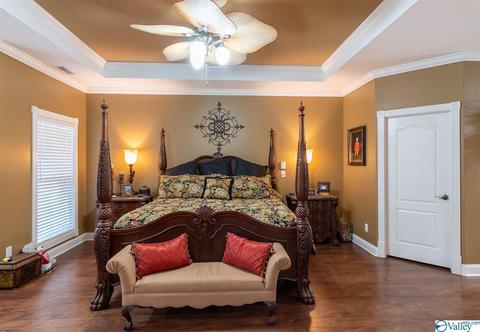 3200 County Road 217, Trinity, AL 35673 photo 26