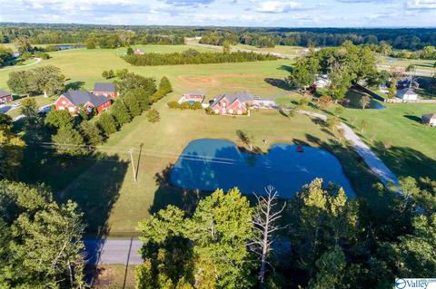 3200 County Road 217, Trinity, AL 35673 photo 3