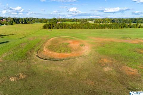 3200 County Road 217, Trinity, AL 35673 photo 10