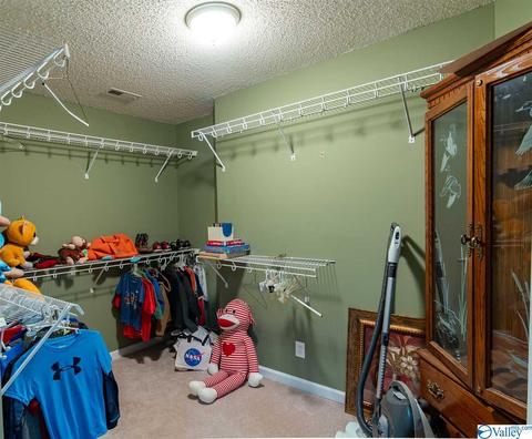 3200 County Road 217, Trinity, AL 35673 photo 48