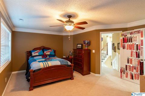 3200 County Road 217, Trinity, AL 35673 photo 44