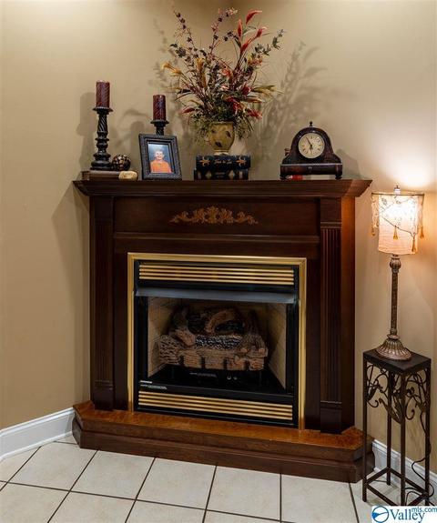 3200 County Road 217, Trinity, AL 35673 photo 32