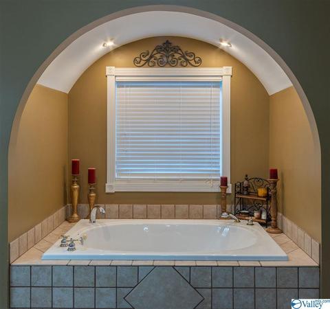 3200 County Road 217, Trinity, AL 35673 photo 29