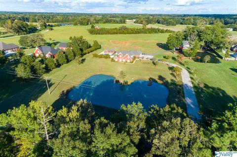 3200 County Road 217, Trinity, AL 35673 photo 4