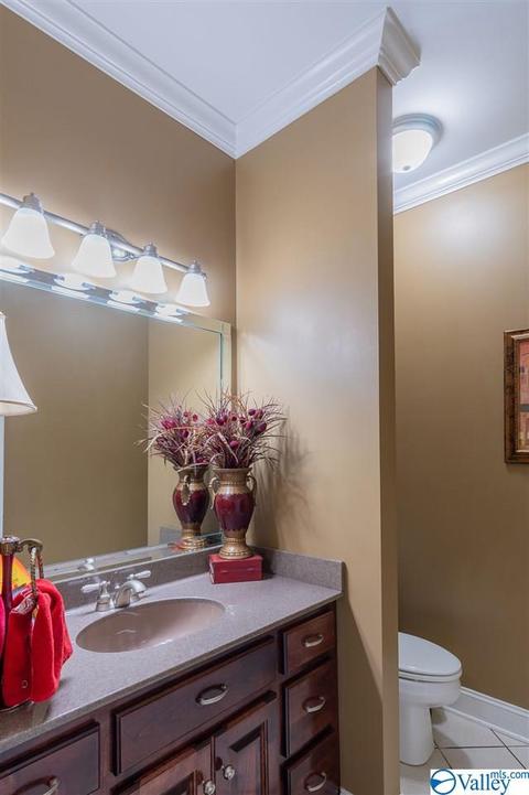 3200 County Road 217, Trinity, AL 35673 photo 17