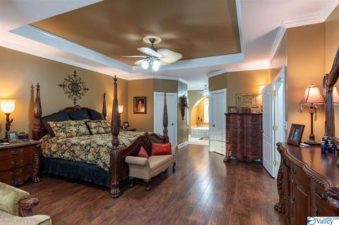 3200 County Road 217, Trinity, AL 35673 photo 28
