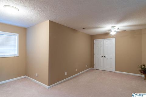 3200 County Road 217, Trinity, AL 35673 photo 46