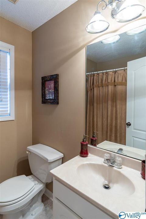 3200 County Road 217, Trinity, AL 35673 photo 47