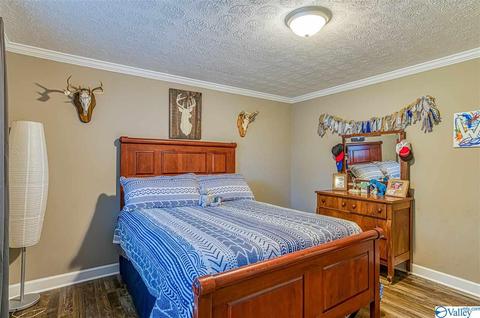 1490 Old Highway 24, Trinity, AL 35673 photo 28