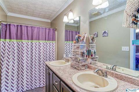 1490 Old Highway 24, Trinity, AL 35673 photo 19