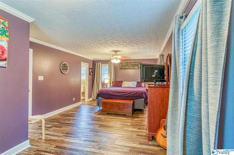 1490 Old Highway 24, Trinity, AL 35673 photo 17