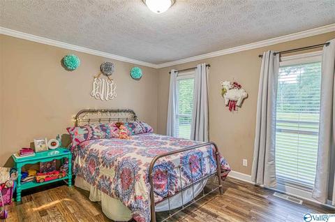 1490 Old Highway 24, Trinity, AL 35673 photo 25