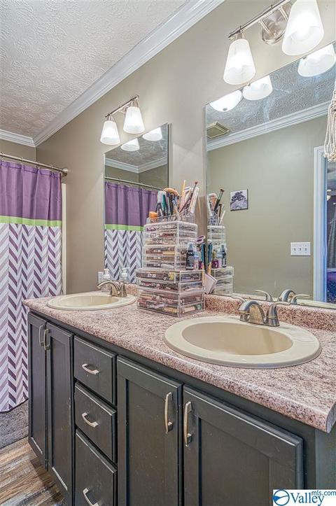 1490 Old Highway 24, Trinity, AL 35673 photo 20