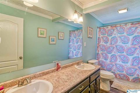 1490 Old Highway 24, Trinity, AL 35673 photo 22
