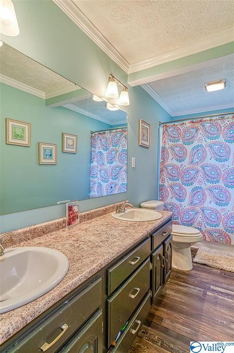 1490 Old Highway 24, Trinity, AL 35673 photo 23