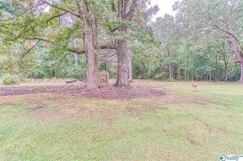 1490 Old Highway 24, Trinity, AL 35673 photo 10