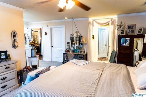 14 Arrowhead Cir, Trinity, AL 35673 photo 23