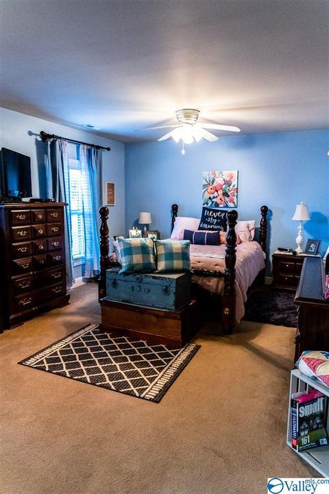14 Arrowhead Cir, Trinity, AL 35673 photo 36