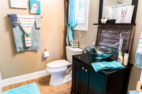 14 Arrowhead Cir, Trinity, AL 35673 photo 34