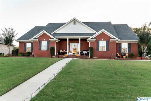 14 Arrowhead Cir, Trinity, AL 35673 photo 1