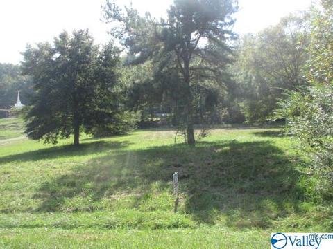 830 E Main St, Glencoe, AL 35905 photo 3