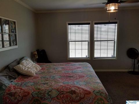 196 Mccutcheon Loop Rd, Laceys Spring, AL 35754 photo 20