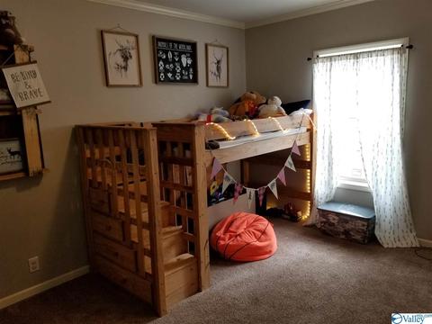 196 Mccutcheon Loop Rd, Laceys Spring, AL 35754 photo 27
