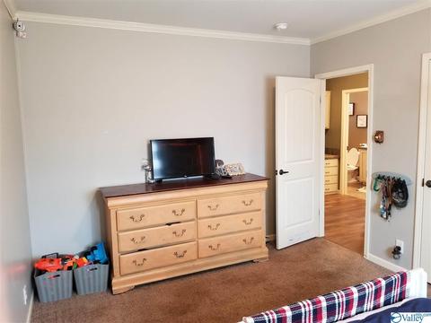 196 Mccutcheon Loop Rd, Laceys Spring, AL 35754 photo 30