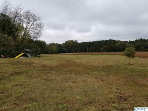 196 Mccutcheon Loop Rd, Laceys Spring, AL 35754 photo 36