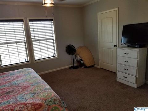 196 Mccutcheon Loop Rd, Laceys Spring, AL 35754 photo 21