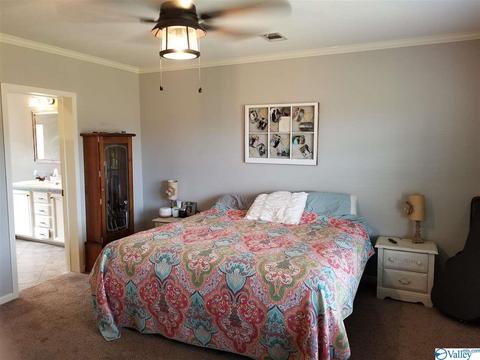 196 Mccutcheon Loop Rd, Laceys Spring, AL 35754 photo 18