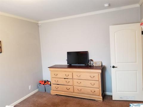 196 Mccutcheon Loop Rd, Laceys Spring, AL 35754 photo 31