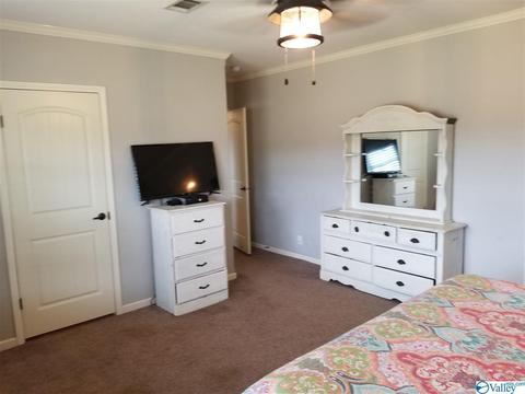 196 Mccutcheon Loop Rd, Laceys Spring, AL 35754 photo 19