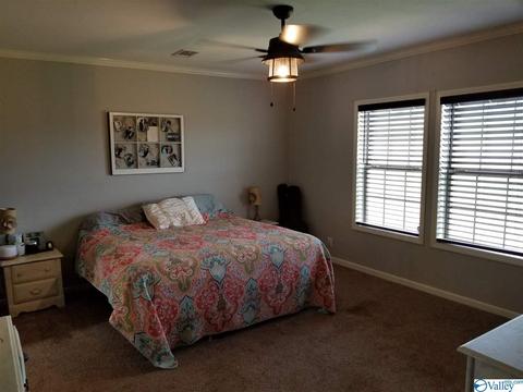 196 Mccutcheon Loop Rd, Laceys Spring, AL 35754 photo 17