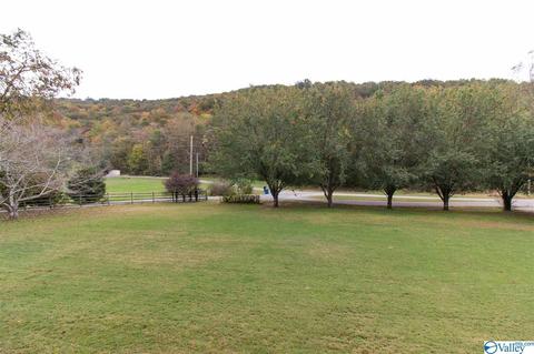 535 Ashley Dr, Grant, AL 35747 photo 41