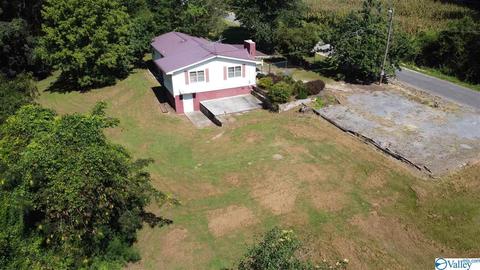 229 Glendale Rd, Arab, AL 35016 photo 2