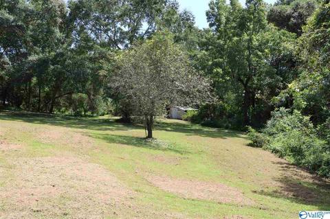 229 Glendale Rd, Arab, AL 35016 photo 22