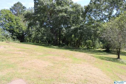 229 Glendale Rd, Arab, AL 35016 photo 21