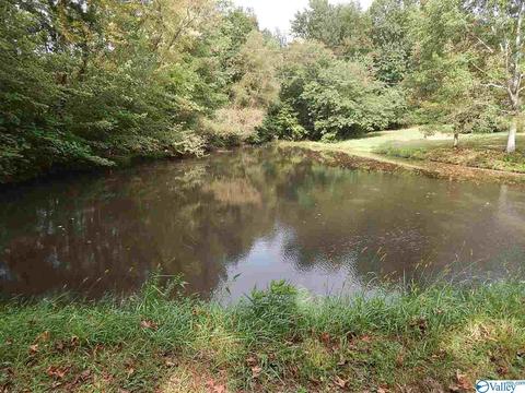 2800 Ruth Rd, Arab, AL 35016 photo 16