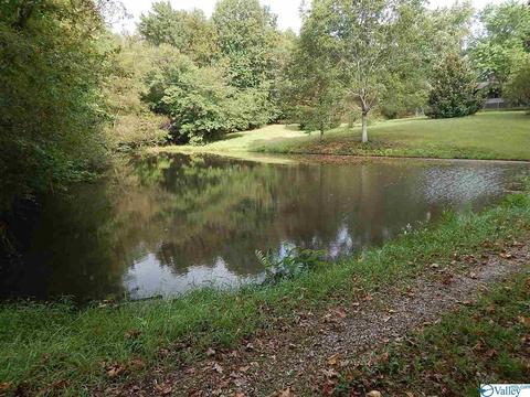 2800 Ruth Rd, Arab, AL 35016 photo 1
