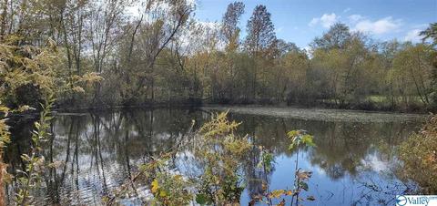 160 County Road 43, Cedar Bluff, AL 35959 photo 11
