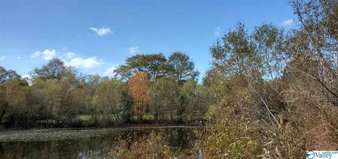 160 County Road 43, Cedar Bluff, AL 35959 photo 10