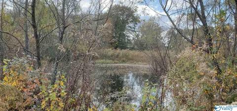 160 County Road 43, Cedar Bluff, AL 35959 photo 36