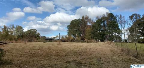 160 County Road 43, Cedar Bluff, AL 35959 photo 31