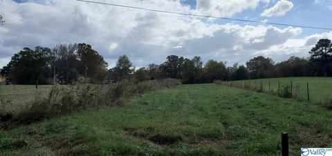 160 County Road 43, Cedar Bluff, AL 35959 photo 39