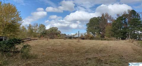 160 County Road 43, Cedar Bluff, AL 35959 photo 32